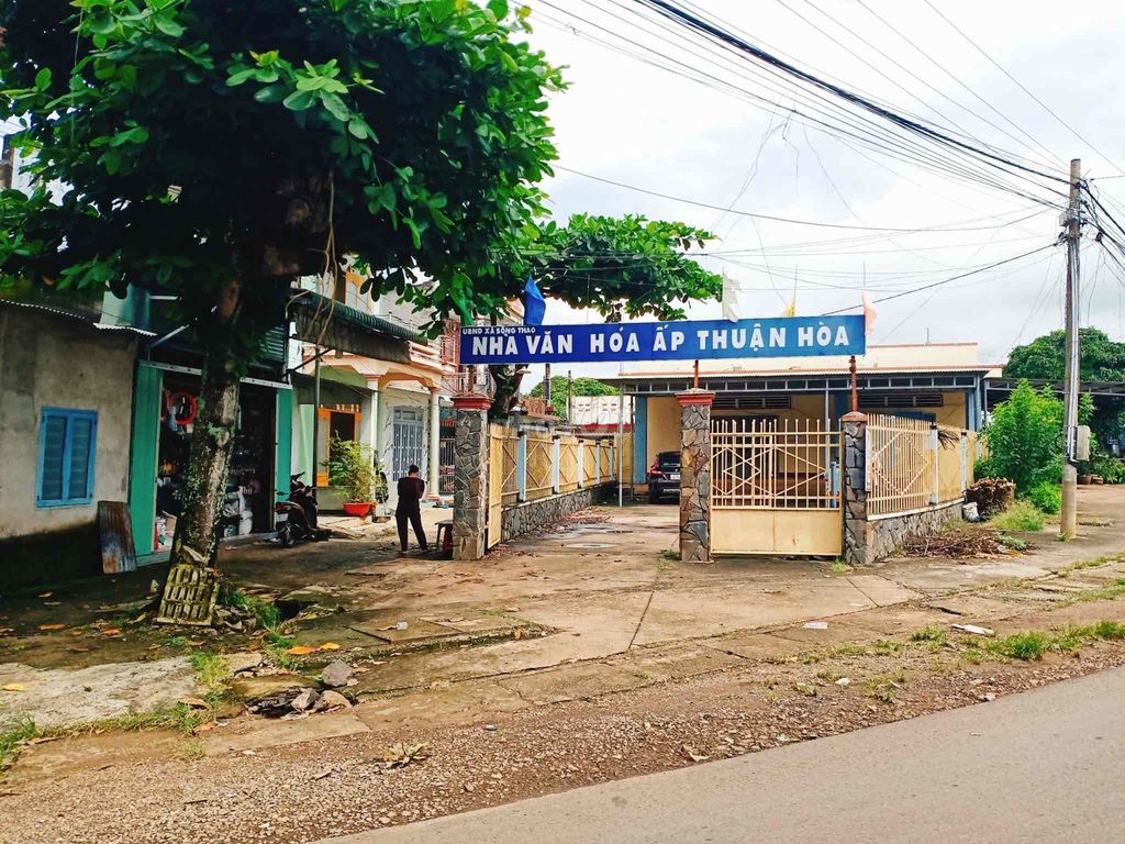 4640108 ảnh đại diện 2
