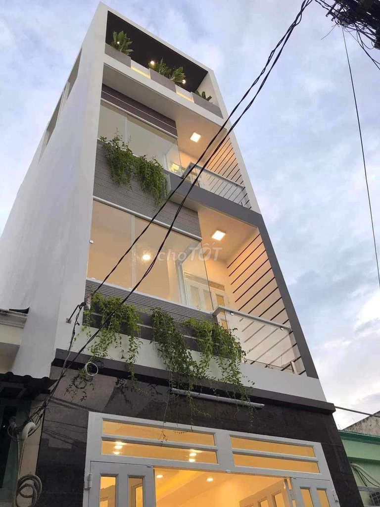 4637452 ảnh đại diện 1