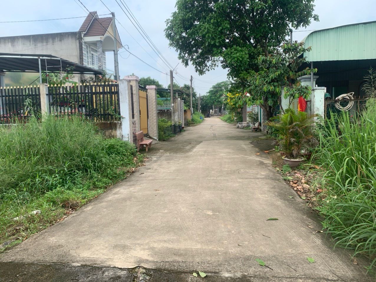 4636556 ảnh đại diện 1