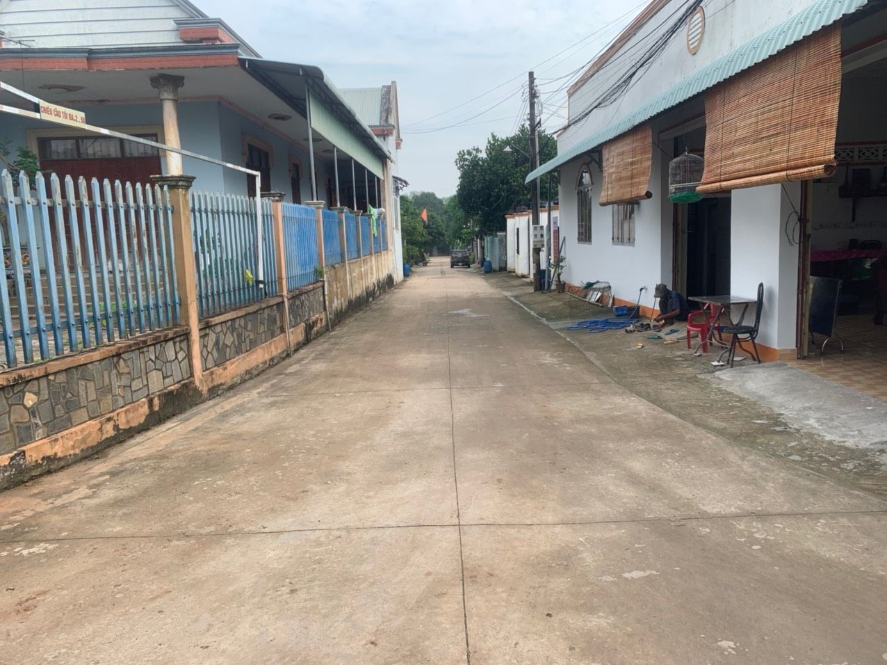 4636556 ảnh đại diện 1