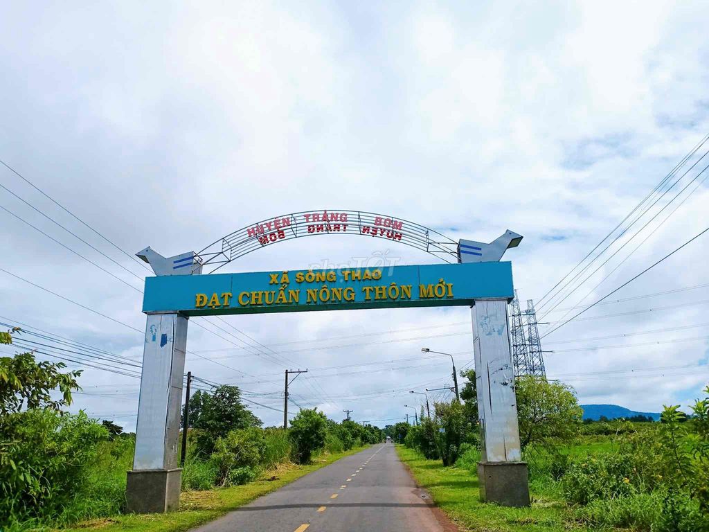 4640108 ảnh đại diện 1