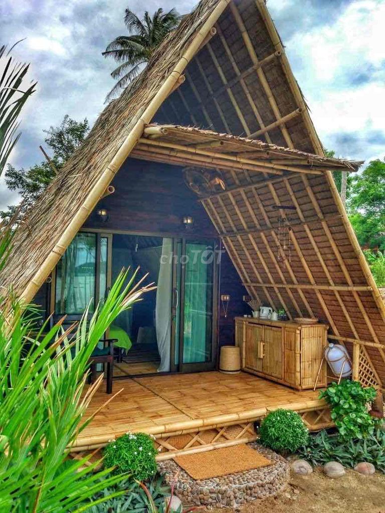 4638460 ảnh đại diện 1