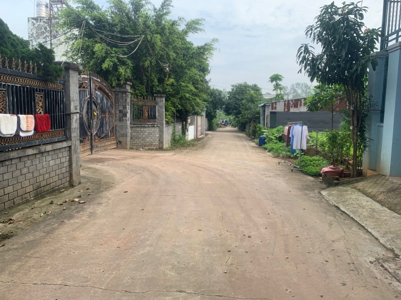 4636556 ảnh đại diện 2