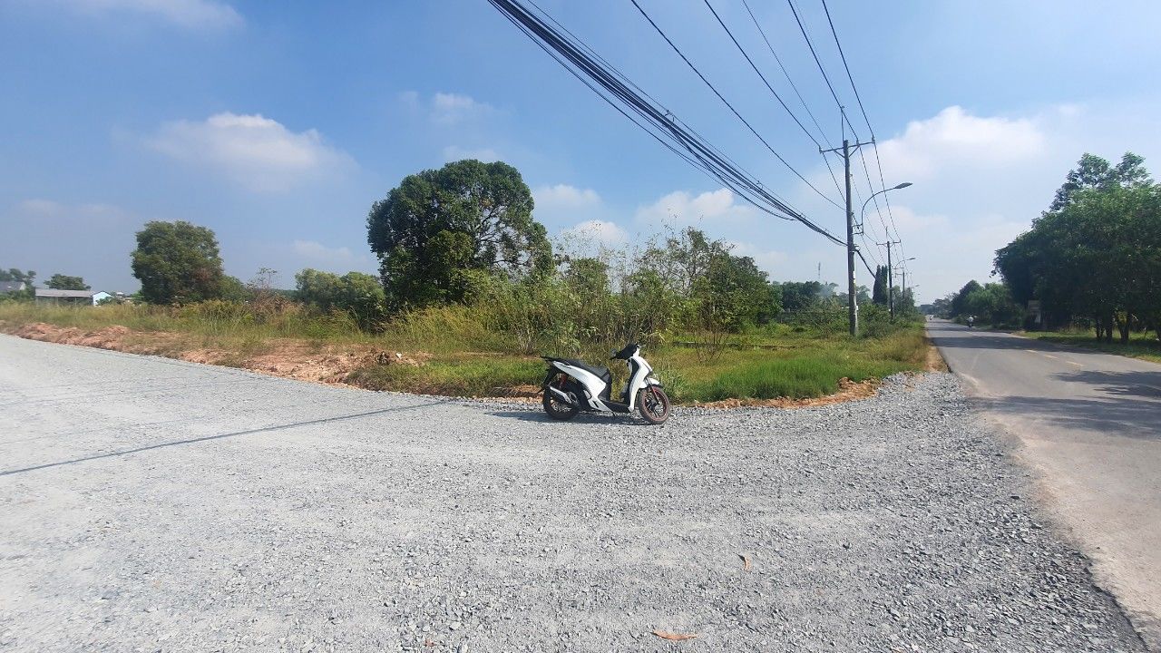 4636559 ảnh đại diện 2