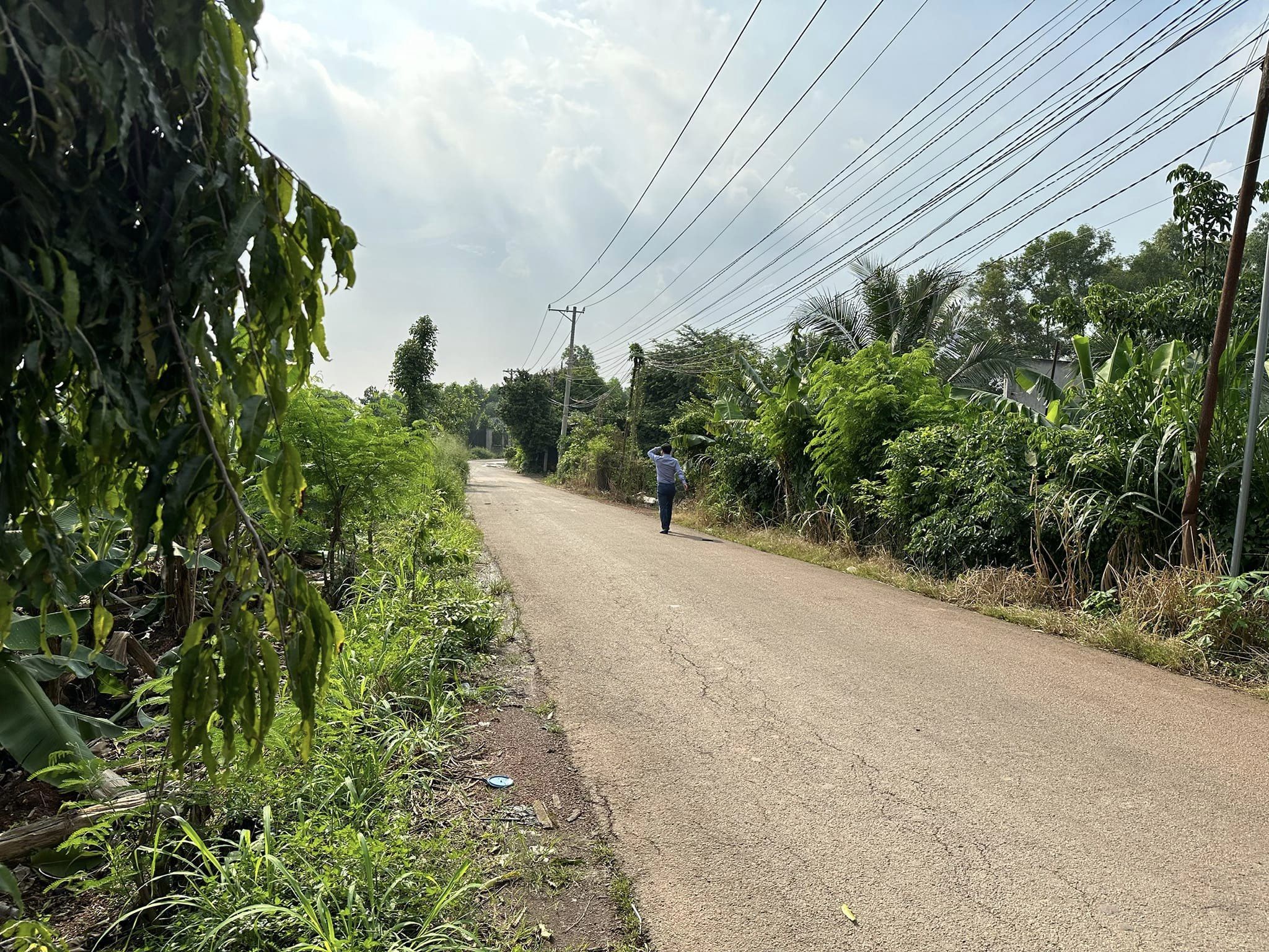 4636553 ảnh đại diện 2