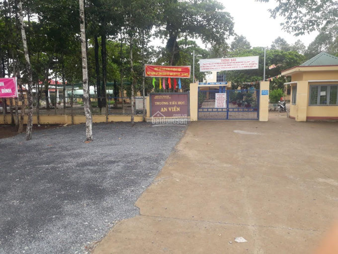 4636557 ảnh đại diện 1