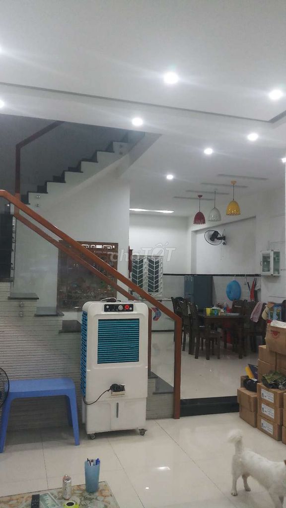 4644035 ảnh đại diện 1