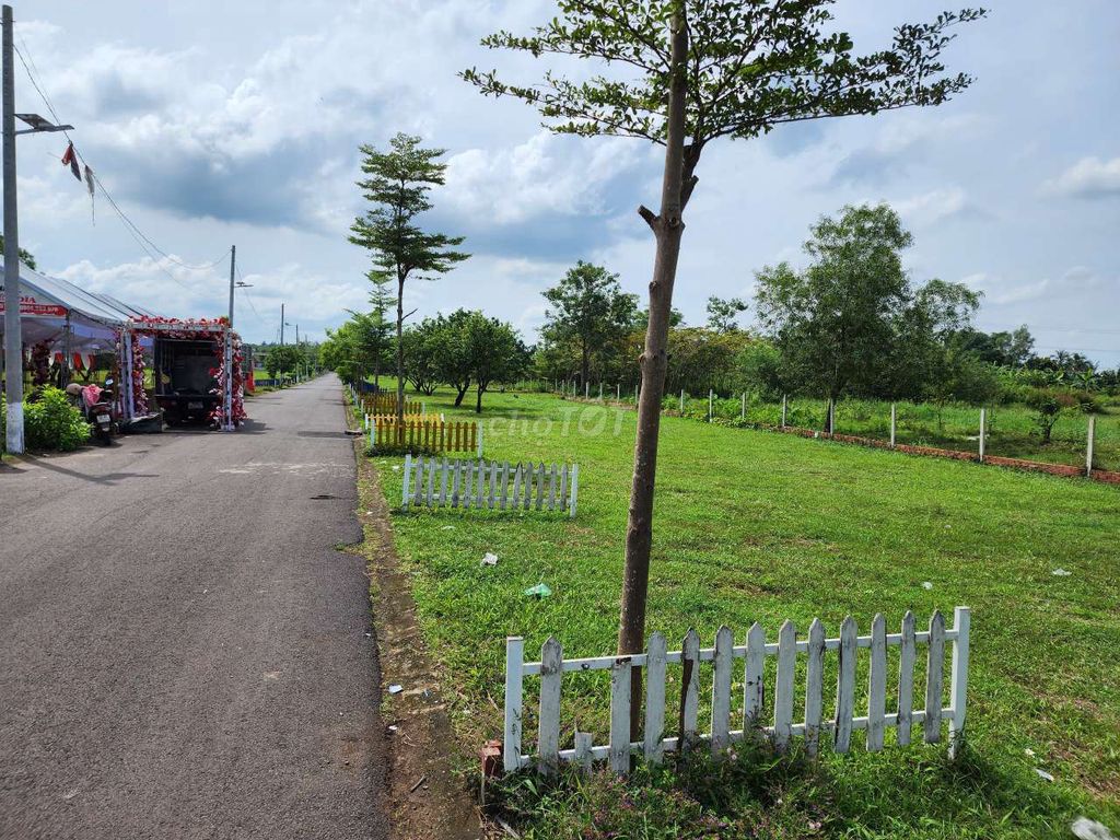 4642735 ảnh đại diện 1