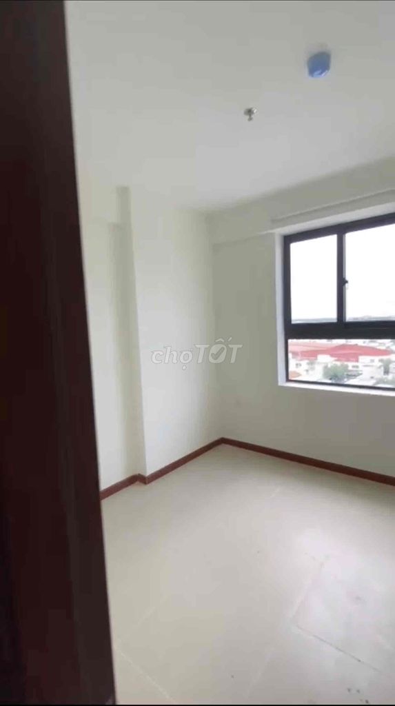 4643130 ảnh đại diện 1