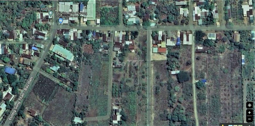 4642735 ảnh đại diện 2