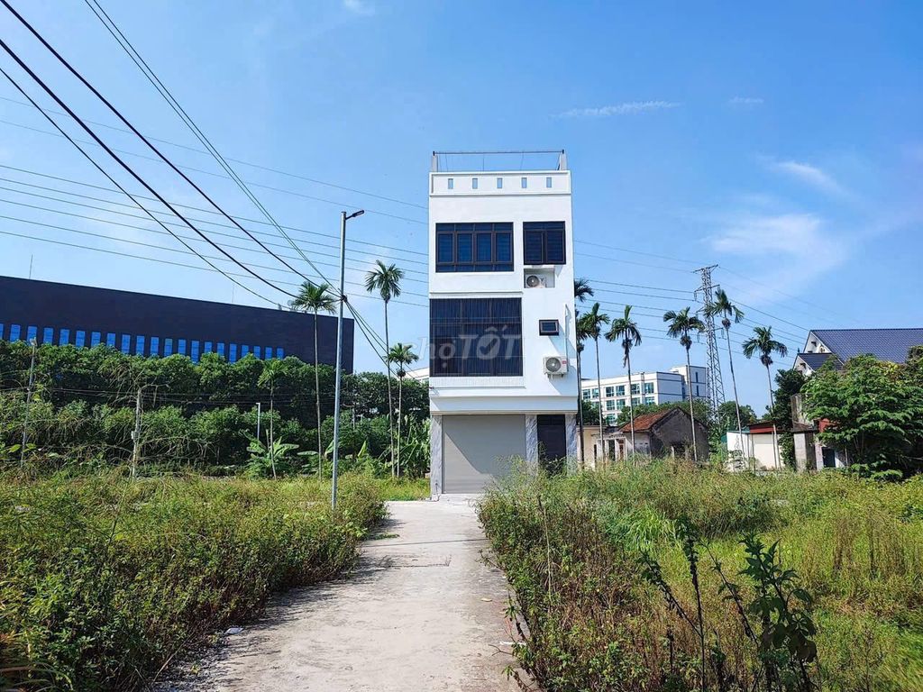 4645959 ảnh đại diện 1