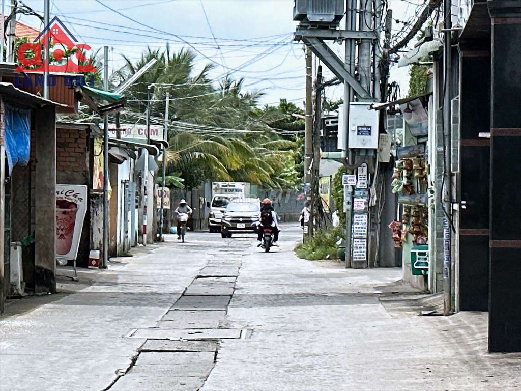 4645783 ảnh đại diện 1