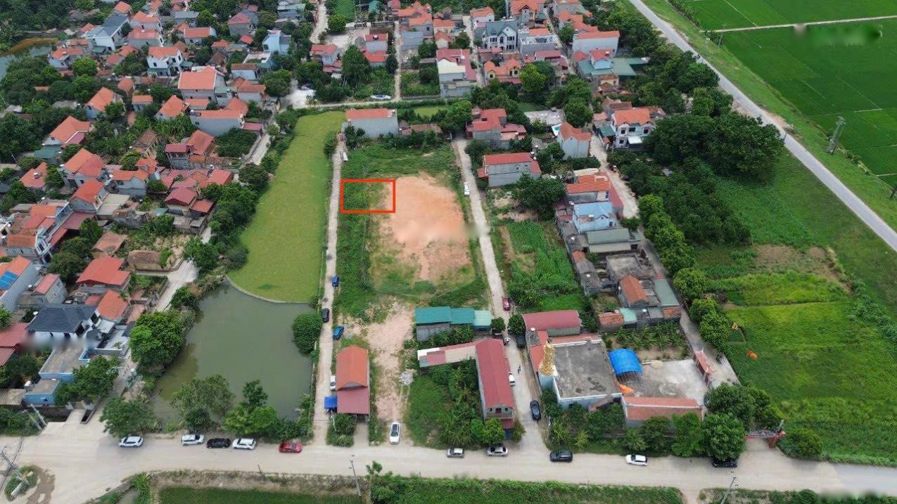 4646005 ảnh đại diện 1