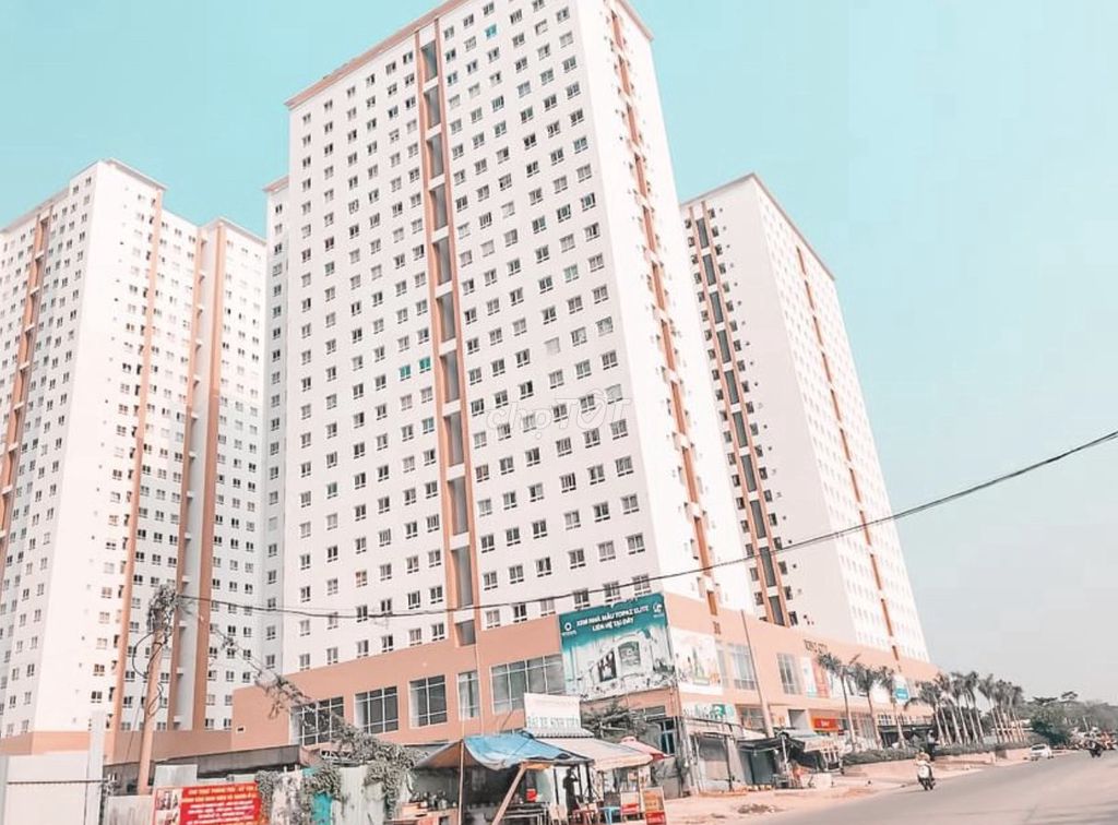 4645937 ảnh đại diện 1