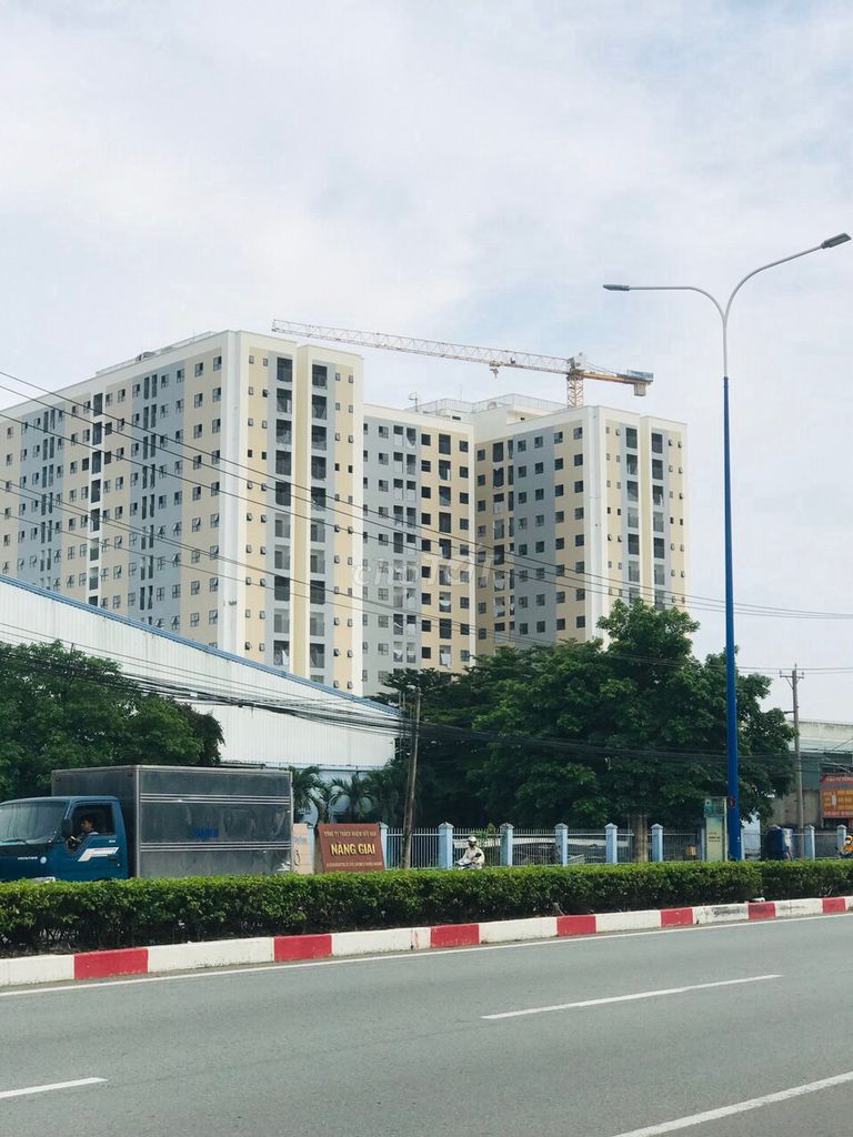 4642655 ảnh đại diện 1