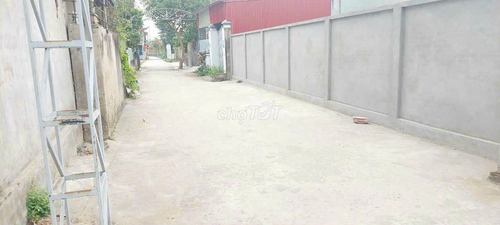 4645960 ảnh đại diện 1