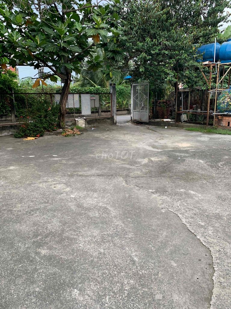 4644358 ảnh đại diện 1
