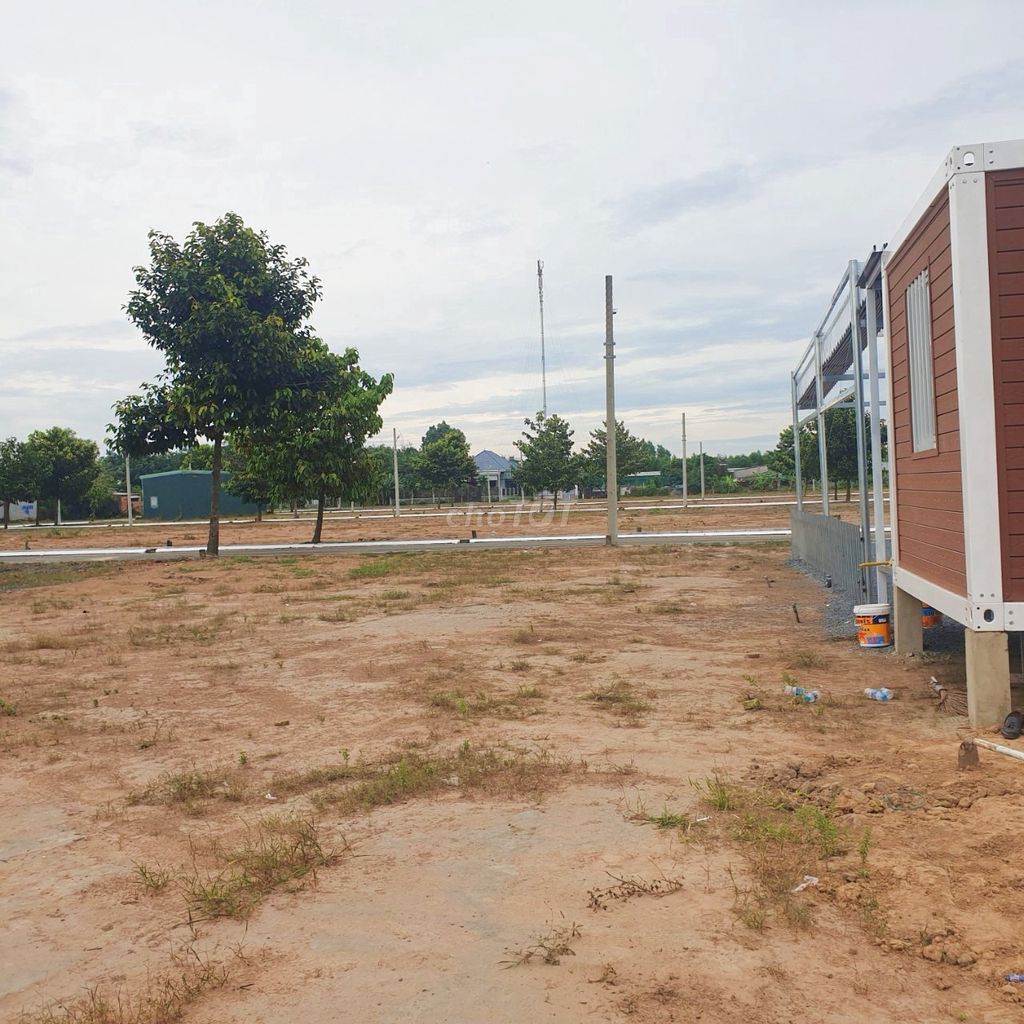 4645192 ảnh đại diện 2