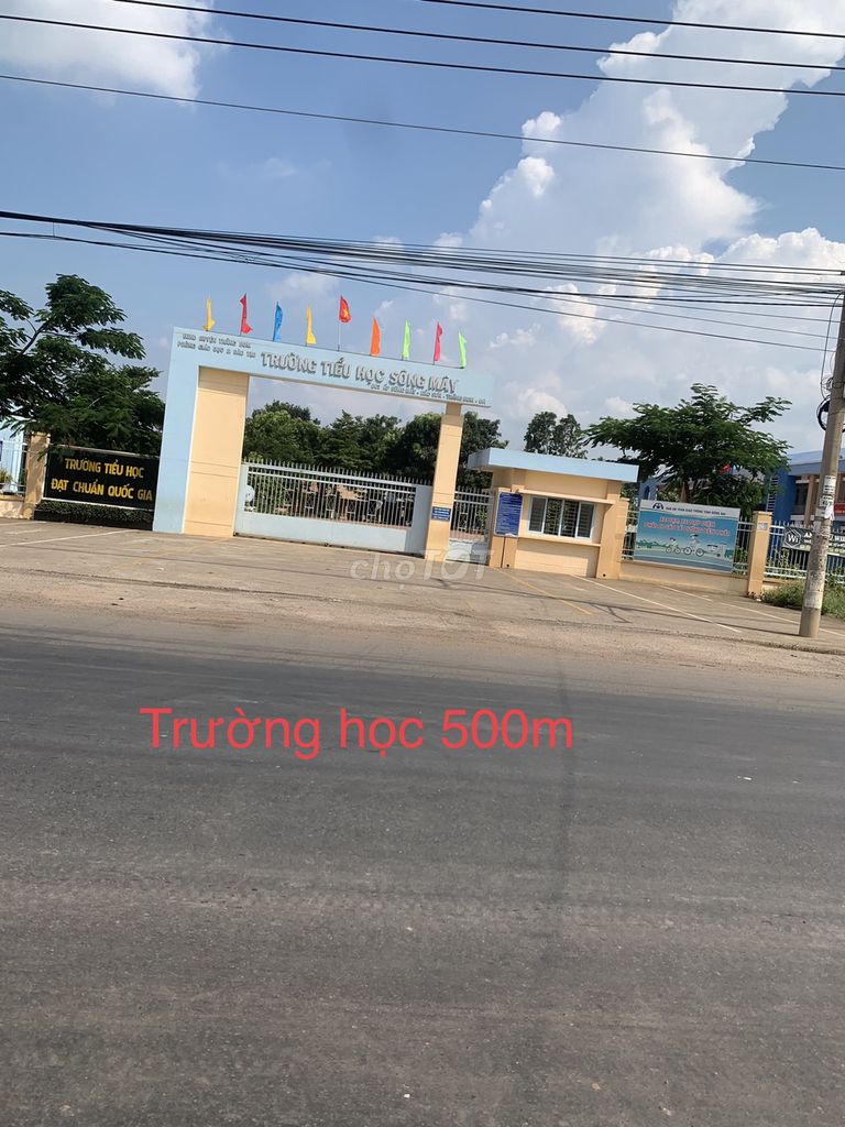 4645481 ảnh đại diện 2