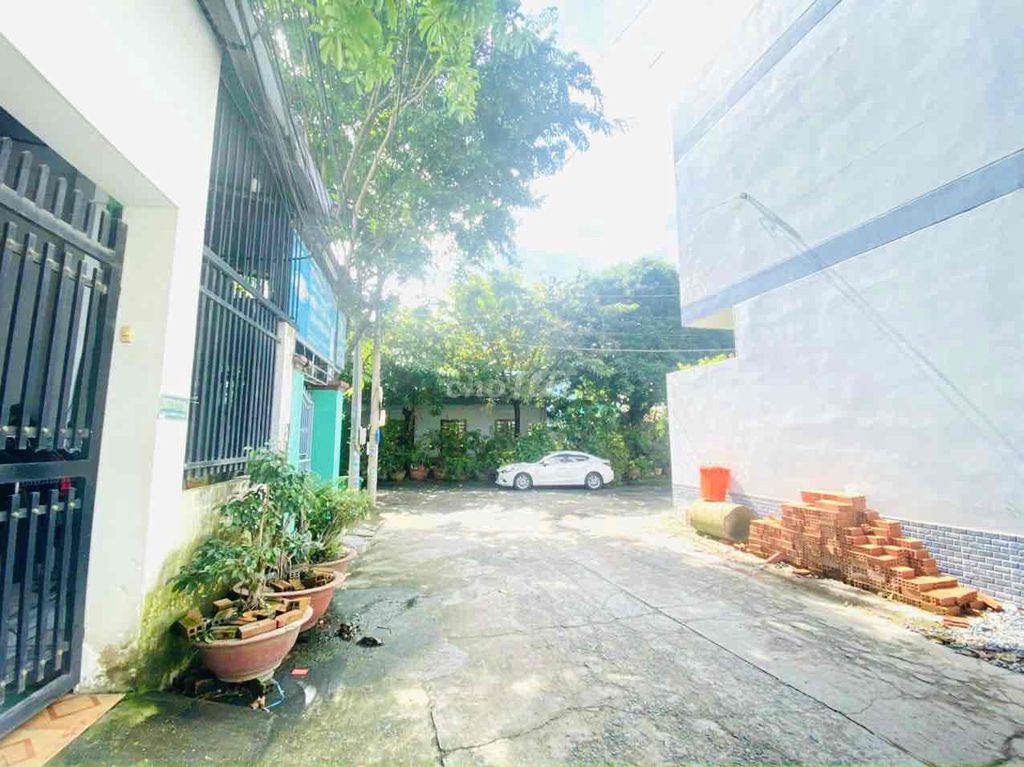 4645787 ảnh đại diện 1