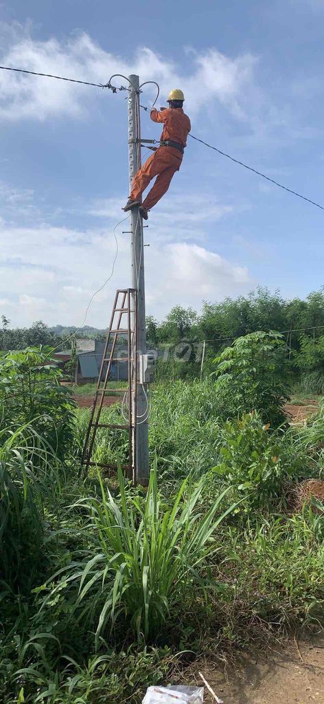 4646102 ảnh đại diện 1
