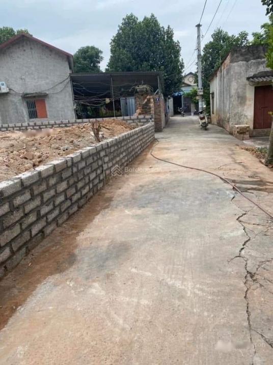 4645989 ảnh đại diện 1