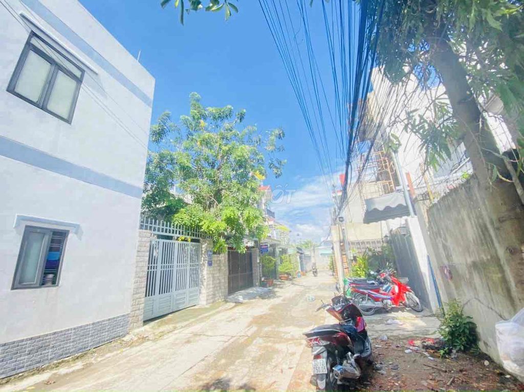 4645787 ảnh đại diện 2