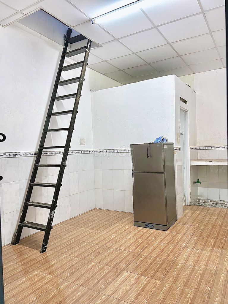 4643679 ảnh đại diện 1
