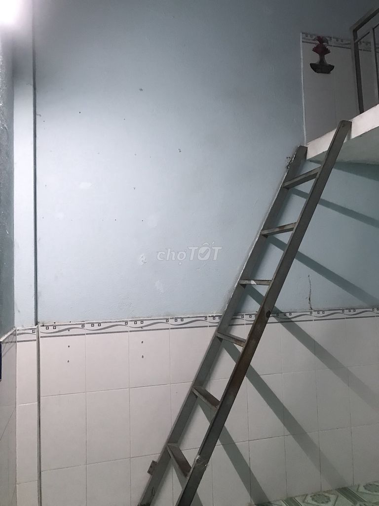 4642987 ảnh đại diện 2