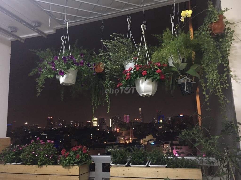 4642743 ảnh đại diện 2