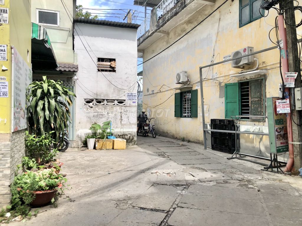 4642478 ảnh đại diện 1