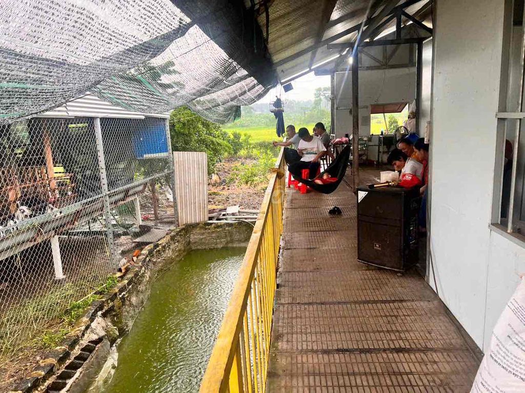 4642163 ảnh đại diện 2