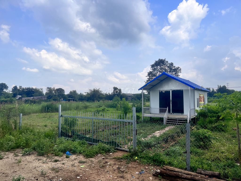 4642162 ảnh đại diện 2