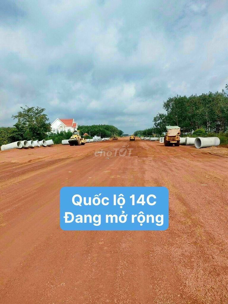 4646104 ảnh đại diện 2