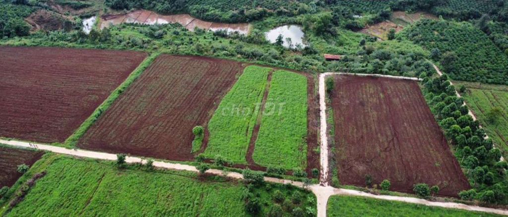 4645589 ảnh đại diện 2