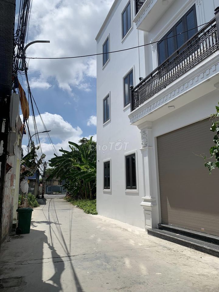 4645960 ảnh đại diện 2