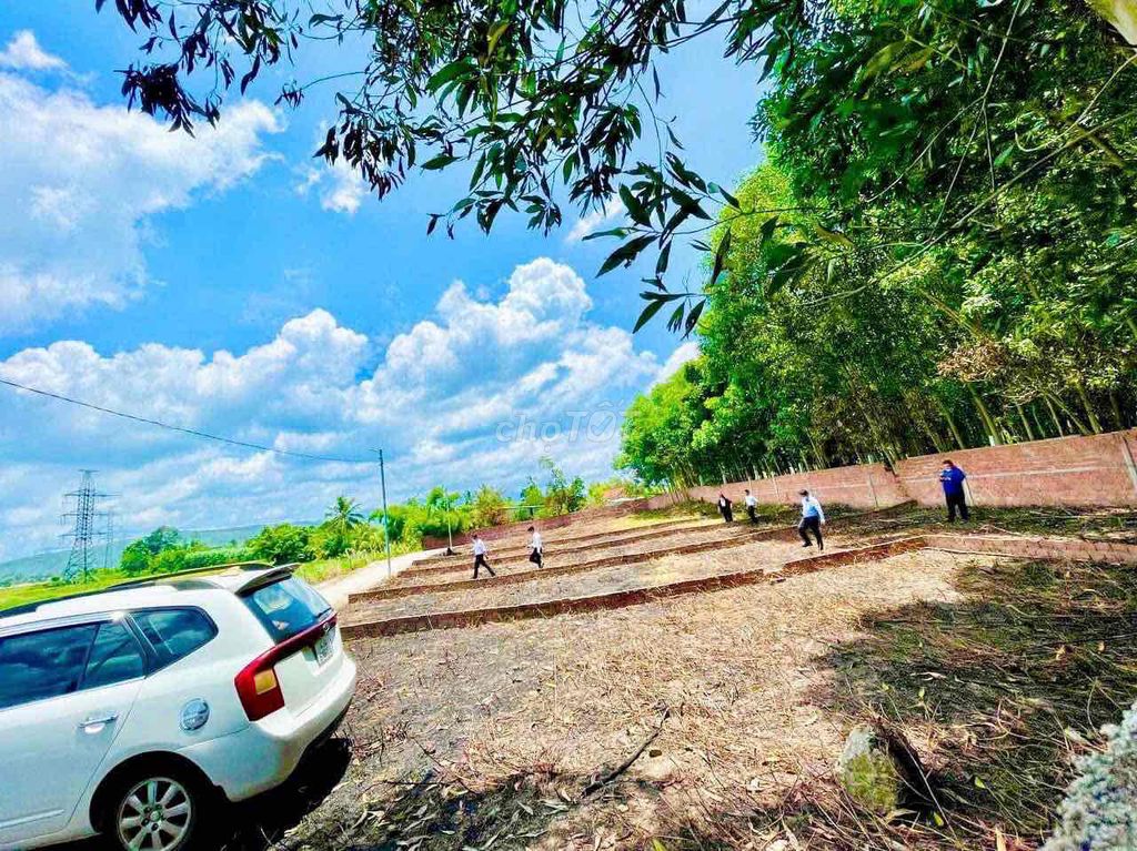 4643063 ảnh đại diện 1