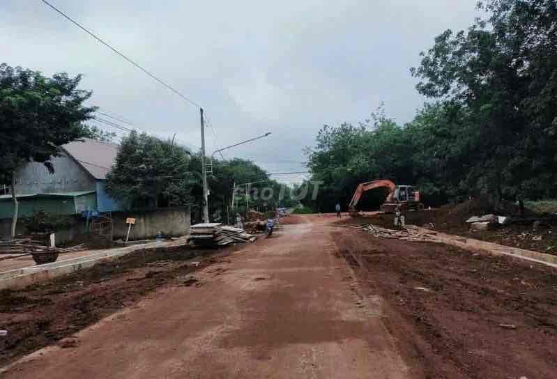 4646102 ảnh đại diện 2