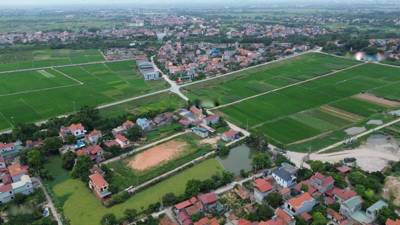 4646005 ảnh đại diện 1