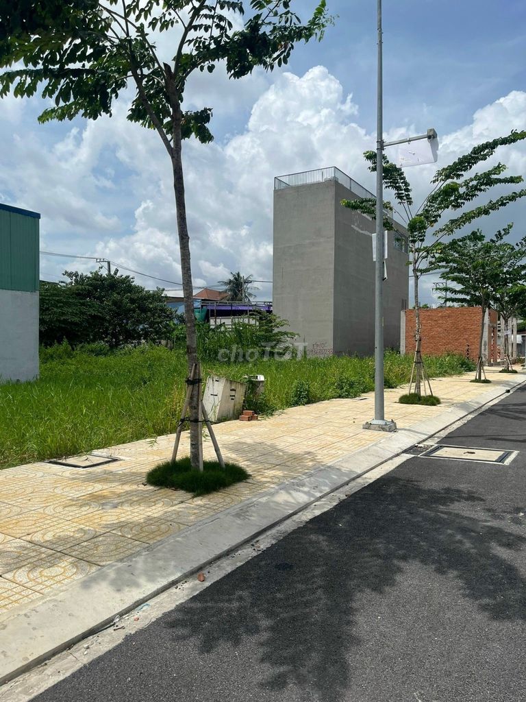 4642298 ảnh đại diện 1
