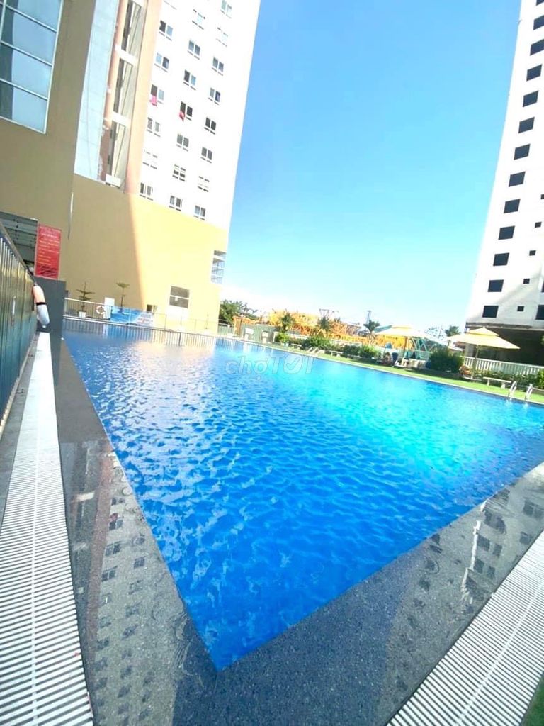 4645937 ảnh đại diện 2