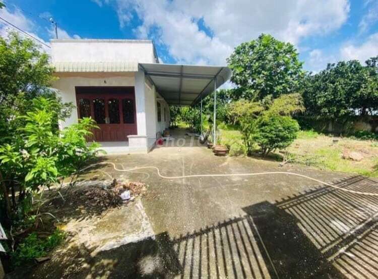 4643868 ảnh đại diện 1
