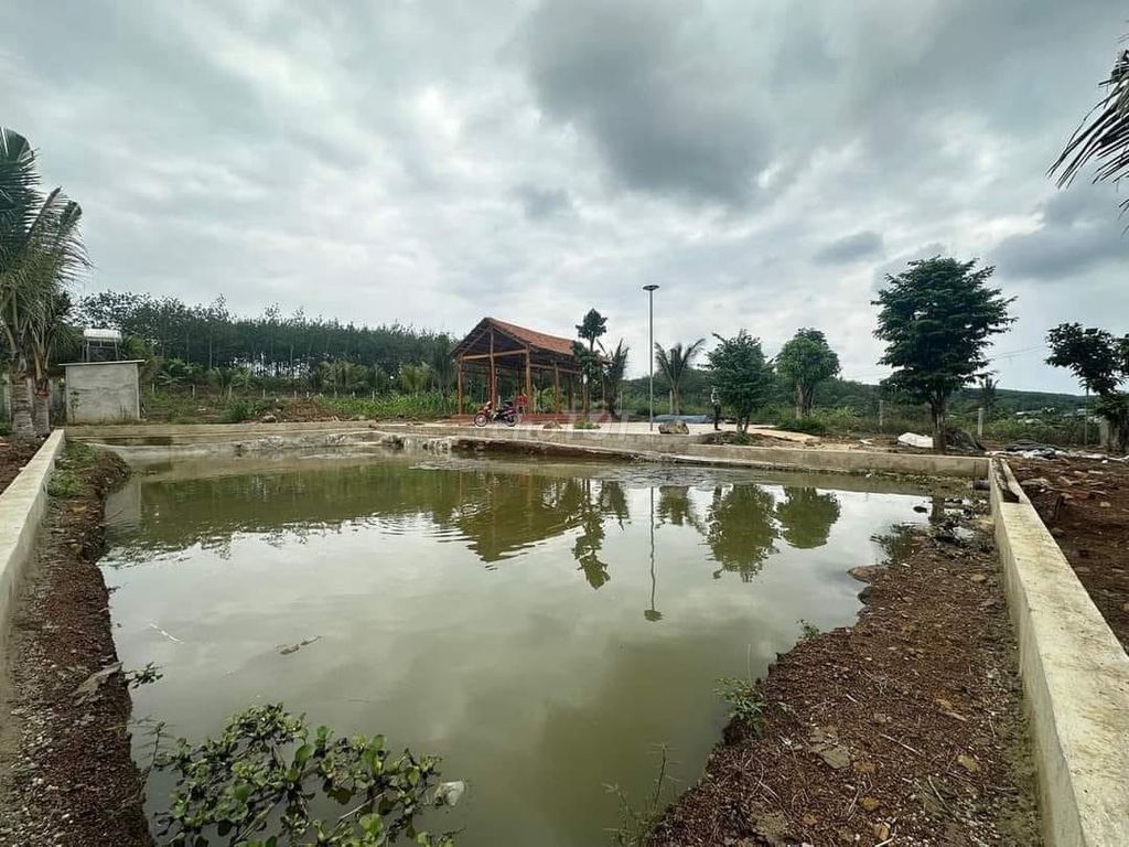 4642983 ảnh đại diện 2