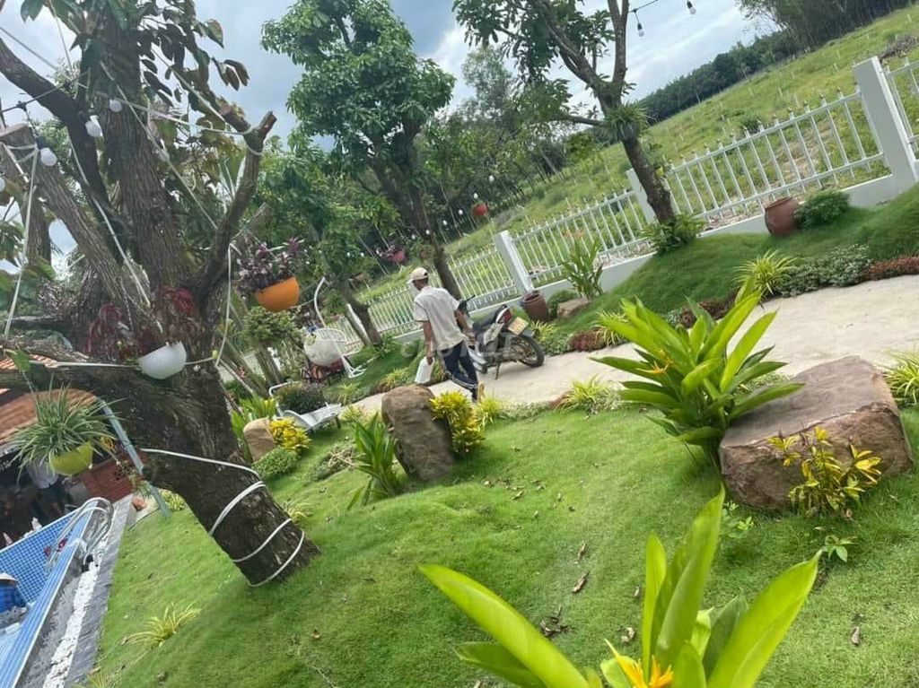 4645816 ảnh đại diện 1