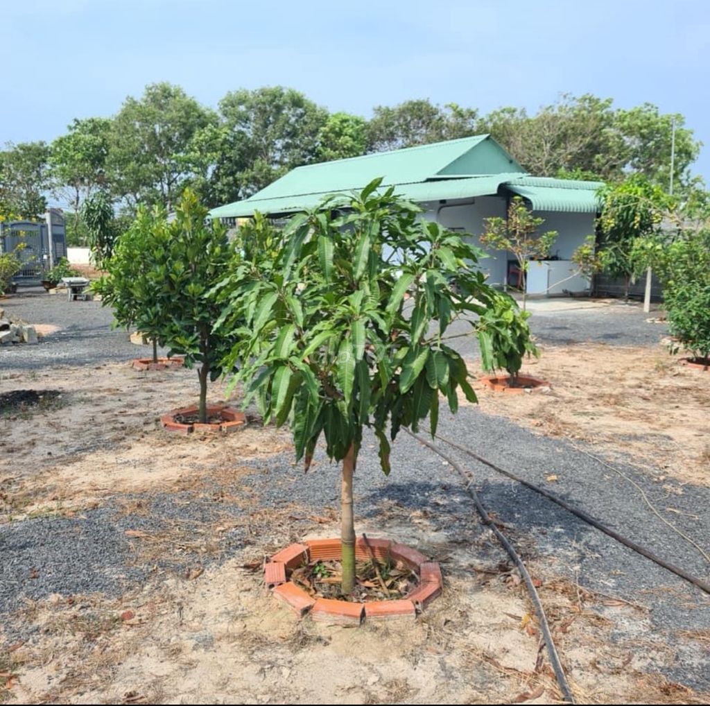 4646104 ảnh đại diện 1