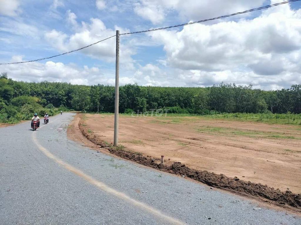 4645822 ảnh đại diện 2