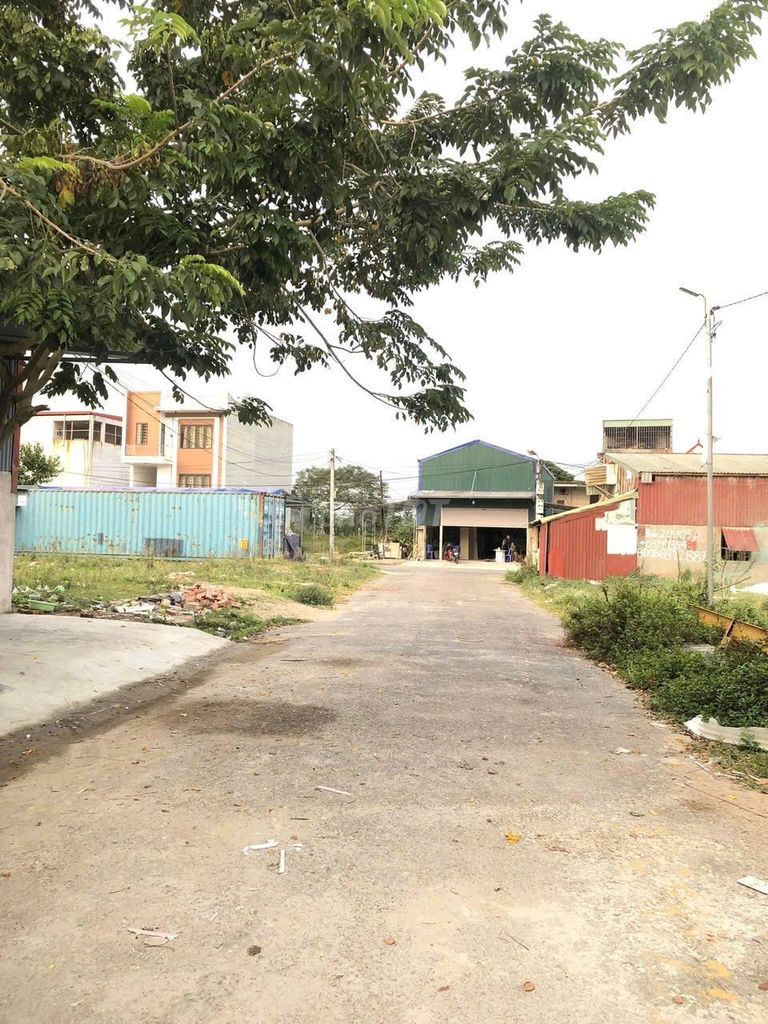 4645968 ảnh đại diện 1