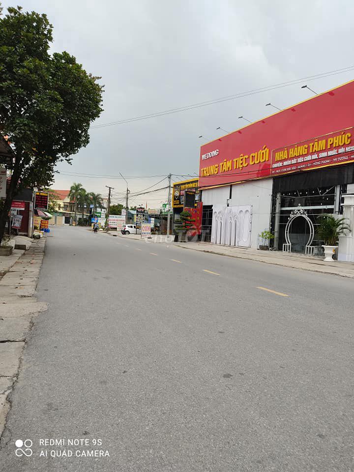 4645959 ảnh đại diện 2