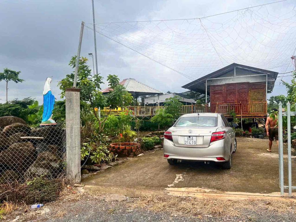 4642163 ảnh đại diện 1