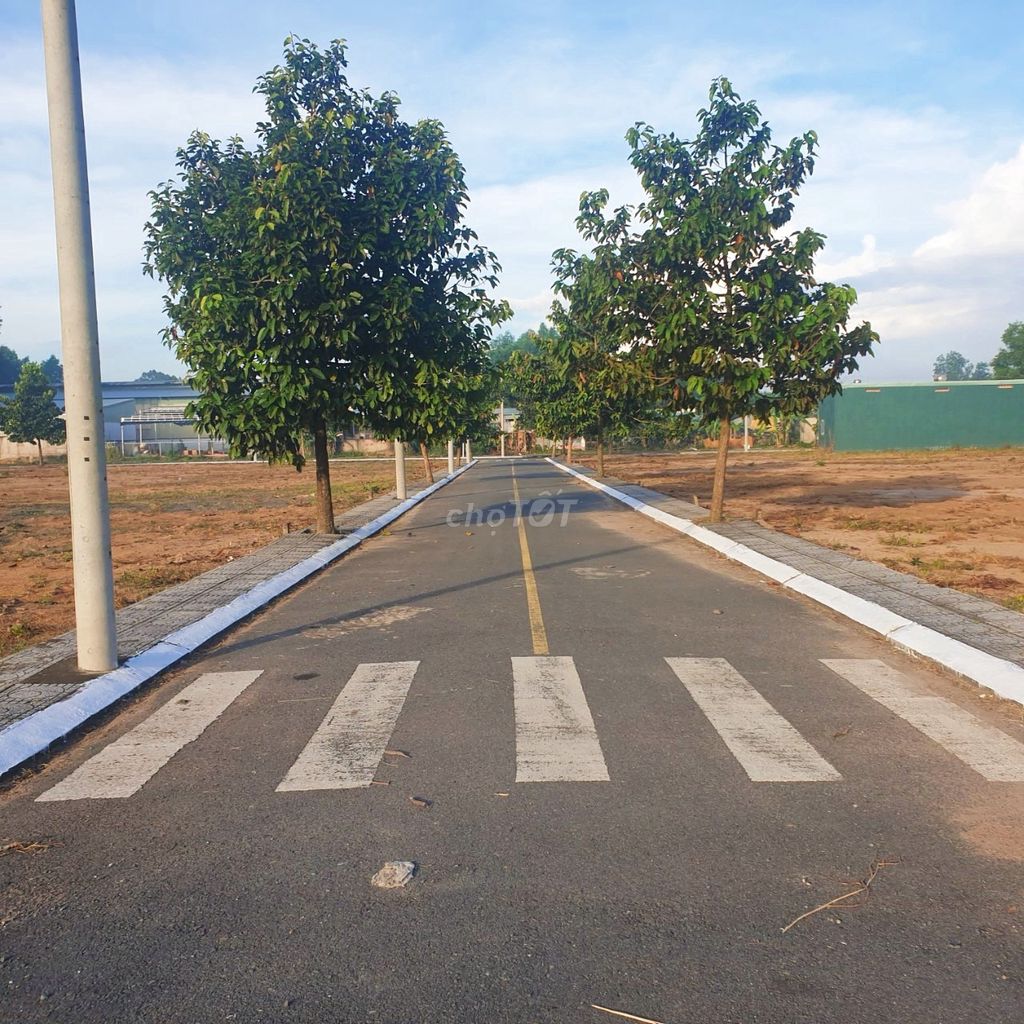 4645192 ảnh đại diện 1
